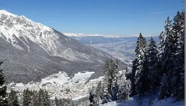 Dal Bon