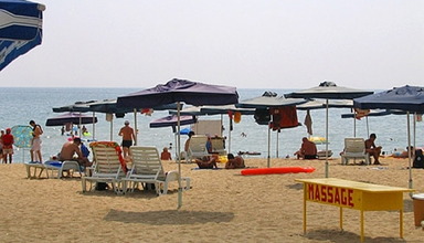 Dalia Garden