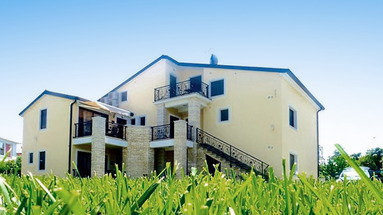 Danex Aida