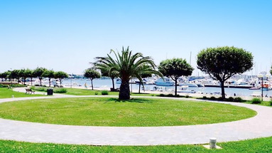 Danex Aida