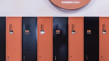 Das 3917