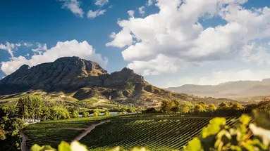 Delaire Graff Estate