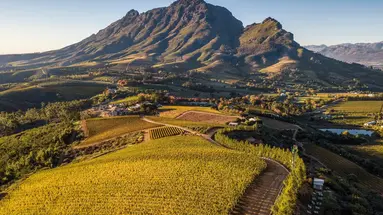 Delaire Graff Estate