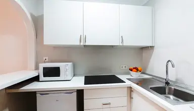 Delfin Casa Vida