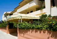 Delfin Casa Vida
