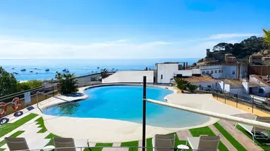 Delfin (Tossa de Mar)