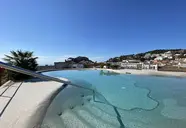 Delfin (Tossa de Mar)