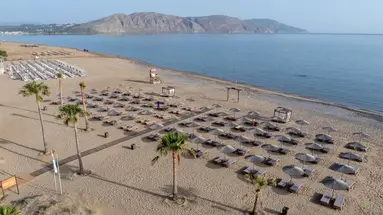 Delfina Tropic Beach