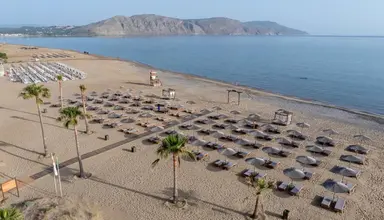 Delfina Tropic Beach
