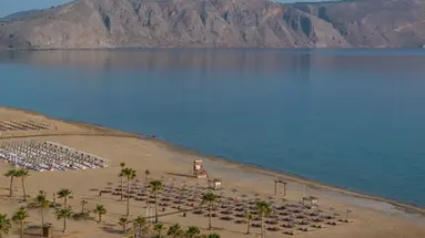 Delfina Tropic Beach