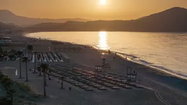 Delfina Tropic Beach