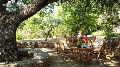 Delfinia Beach and Bungalows 