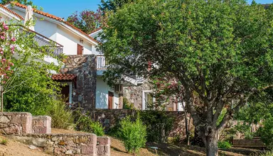 Delfinia Beach and Bungalows