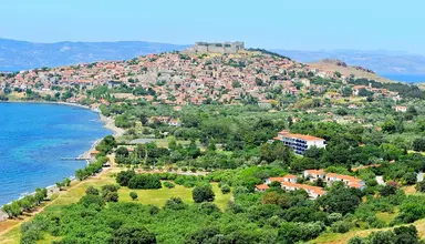 Delfinia Beach and Bungalows