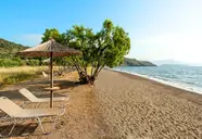 Delfinia Beach and Bungalows 