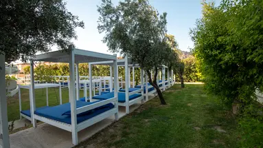 Delfinia Resort 