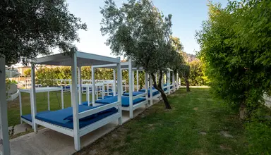 Delfinia Resort