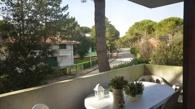 Delle Meduse