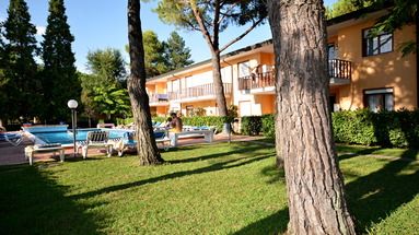 Delle Orchidee