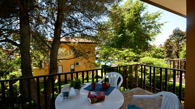 Delle Orchidee