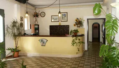 Delle Palme