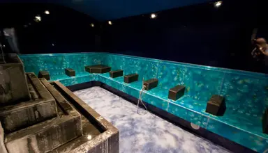 Delle Terme