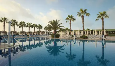 Delphin Botanik Platinum