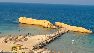 Delphin El Habib