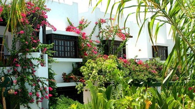 Delta Sharm