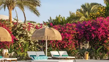 Desert Rose Resort