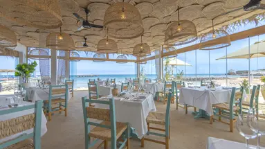 Desert Rose Resort