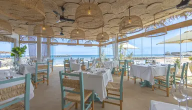 Desert Rose Resort
