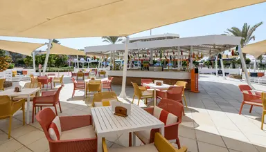Desert Rose Resort