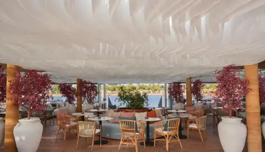 Desert Rose Resort