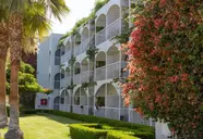 Desert Rose Resort