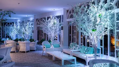 Desert Rose Resort