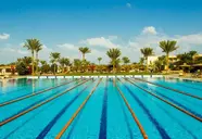 Desert Rose Resort