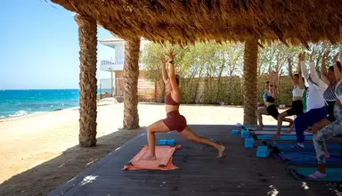 Desert Rose Resort
