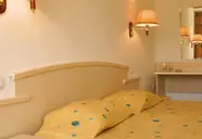 Detelina