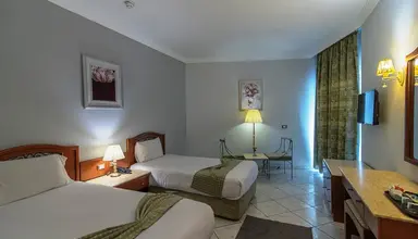 DEXON Roma