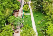 DG Rose Resort