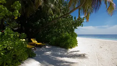 Dhawa Ihuru 