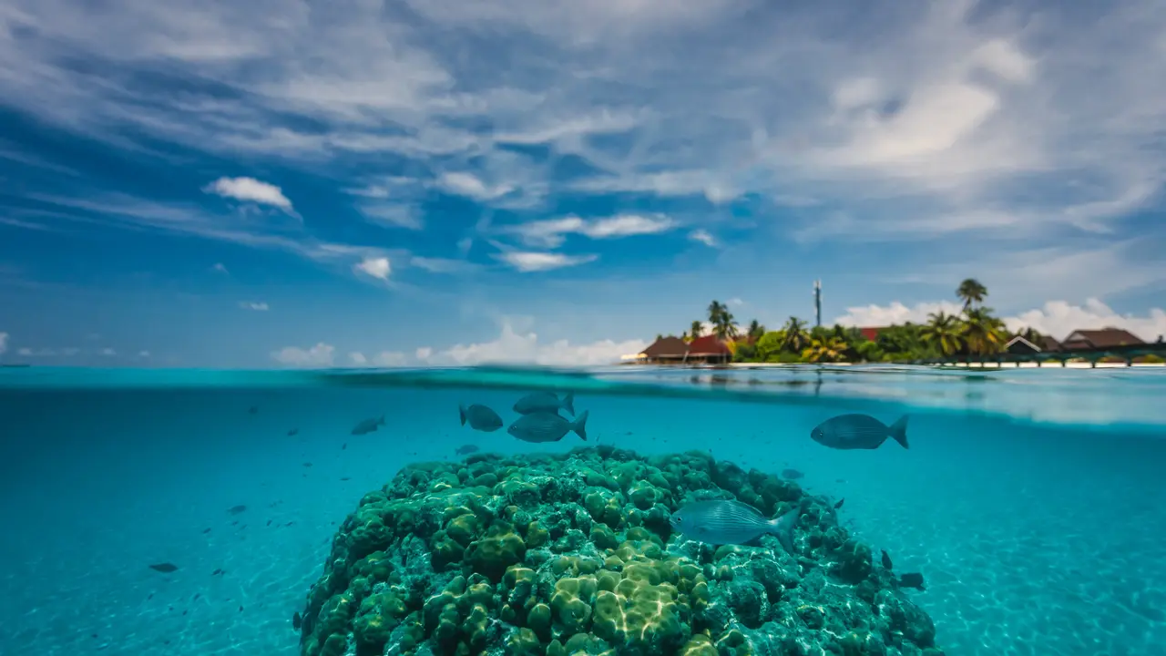 Dhigufaru Island Resort