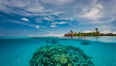 Dhigufaru Island Resort