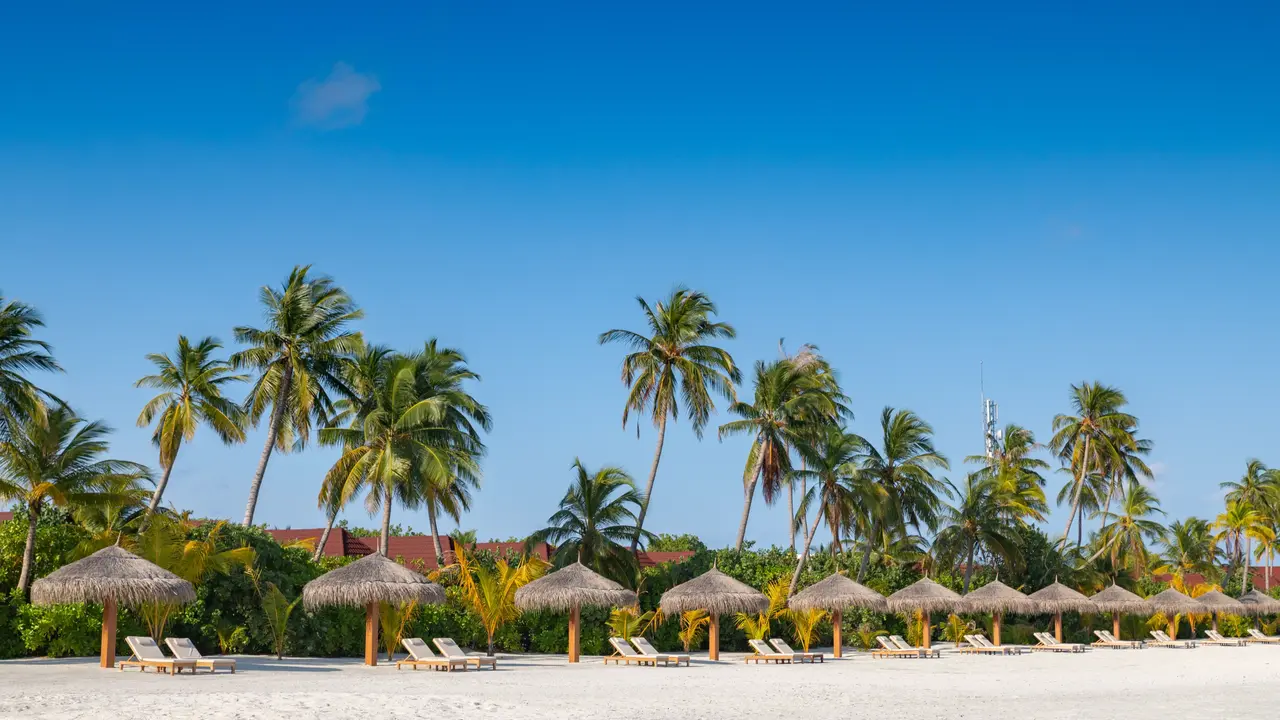 Dhigufaru Island Resort
