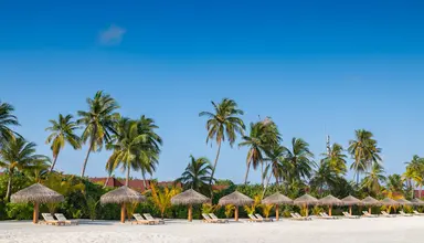 Dhigufaru Island Resort