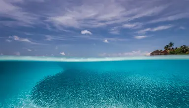 Dhigufaru Island Resort