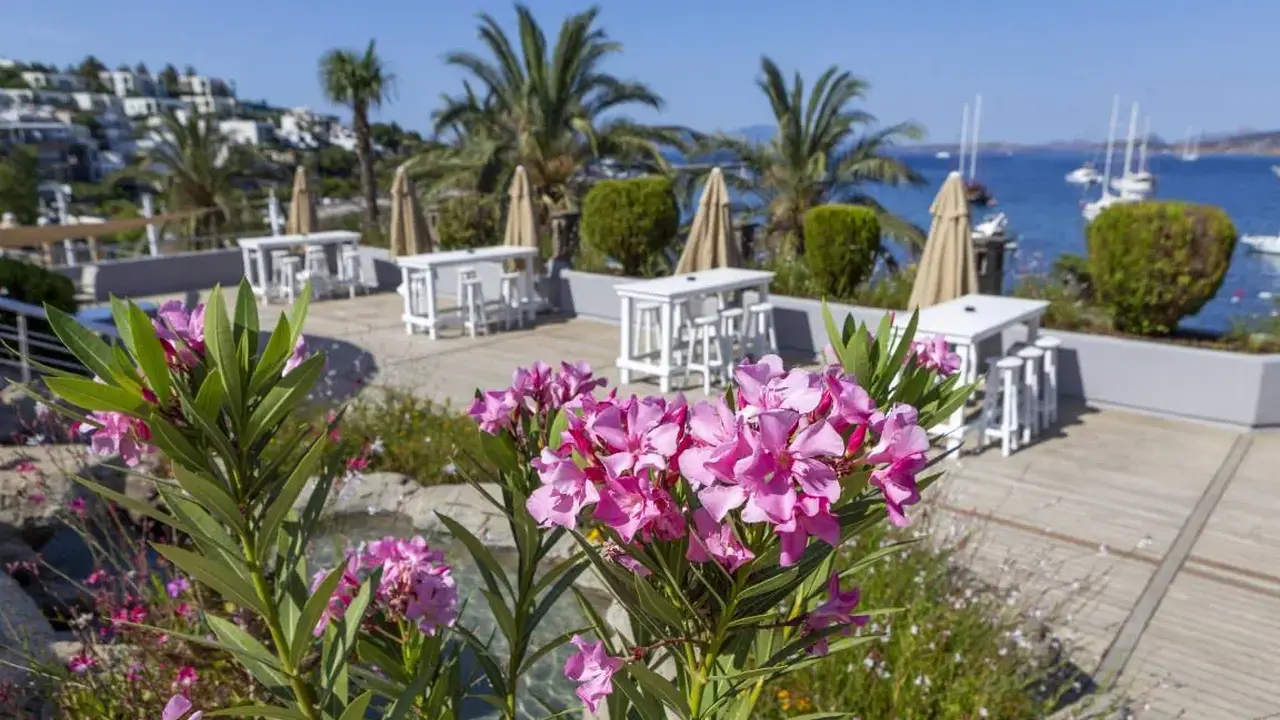 Diamond Of Bodrum
