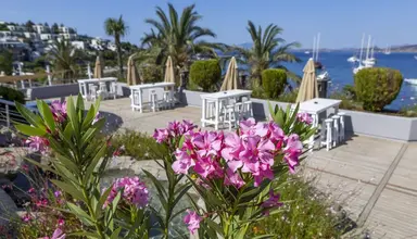 Diamond Of Bodrum
