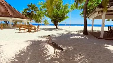 Diamonds Athuruga Beach & Water Villas